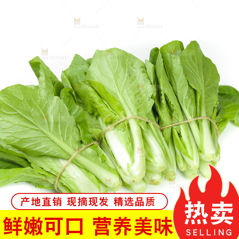 白底上放着一堆小白菜
