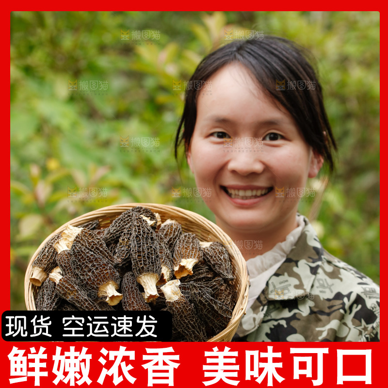 手里端着一篮干羊肚菌