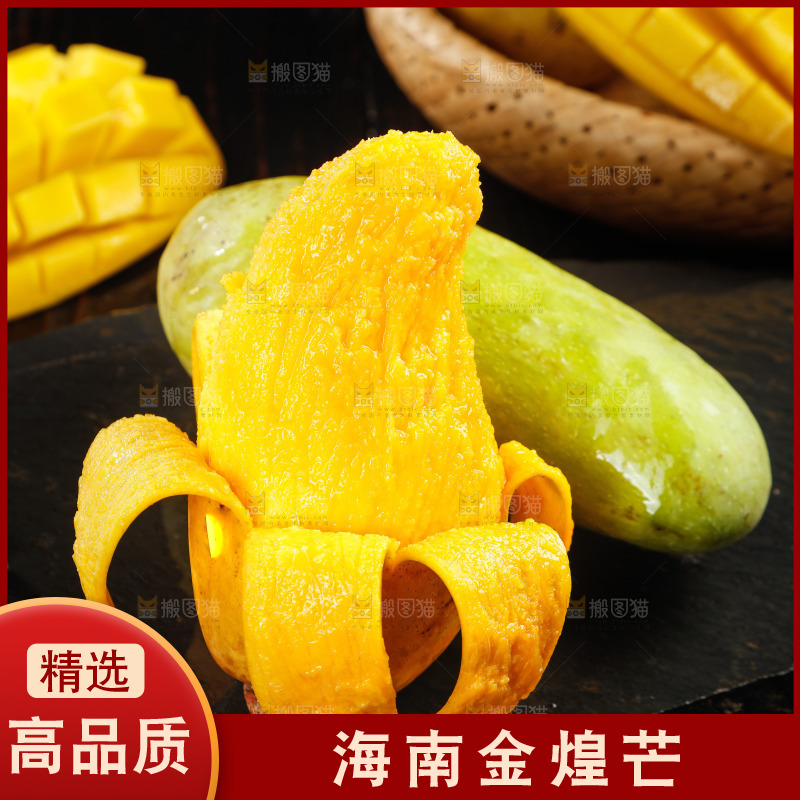 黑底上的金煌芒