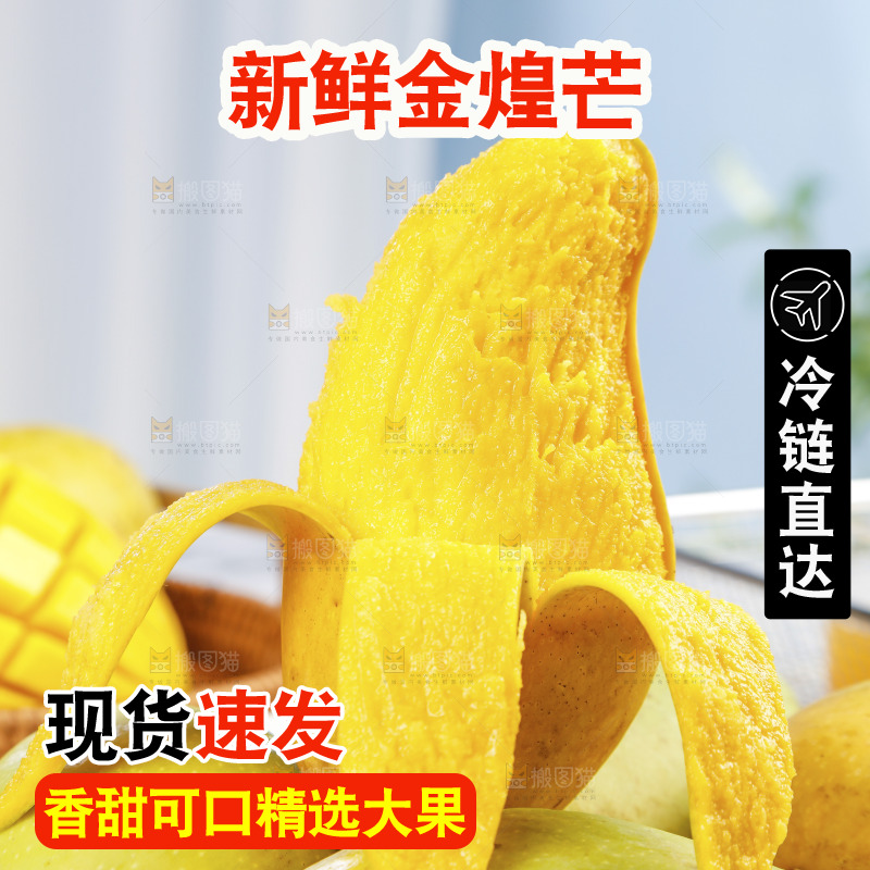一盘金煌芒