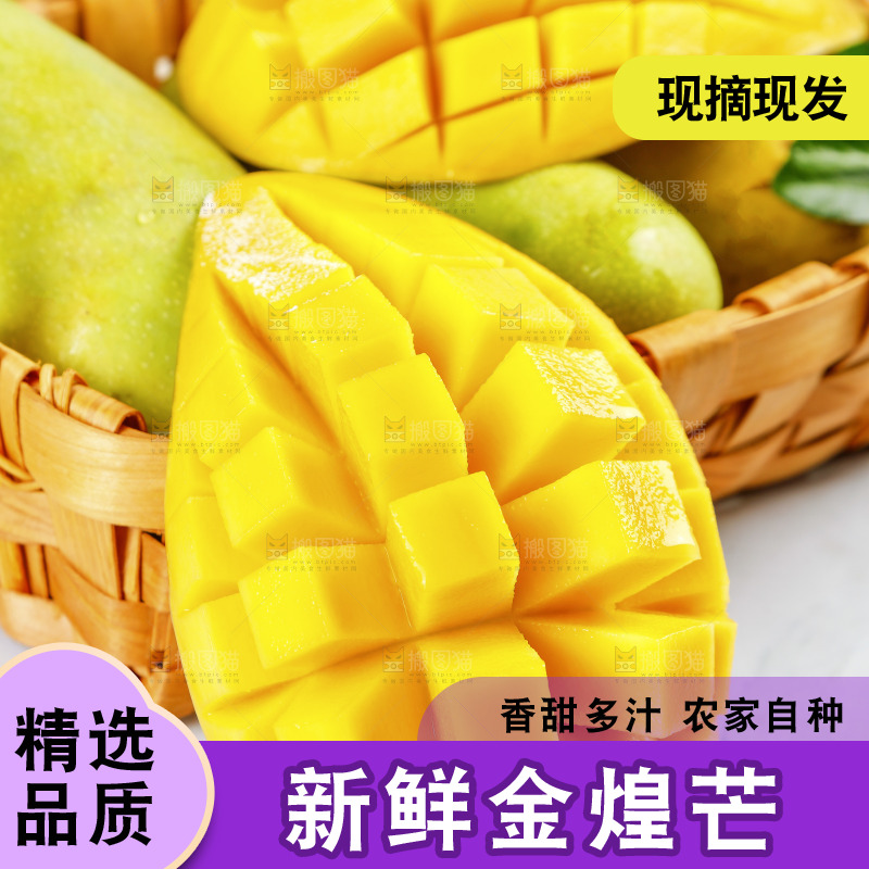 新鲜金煌芒果肉