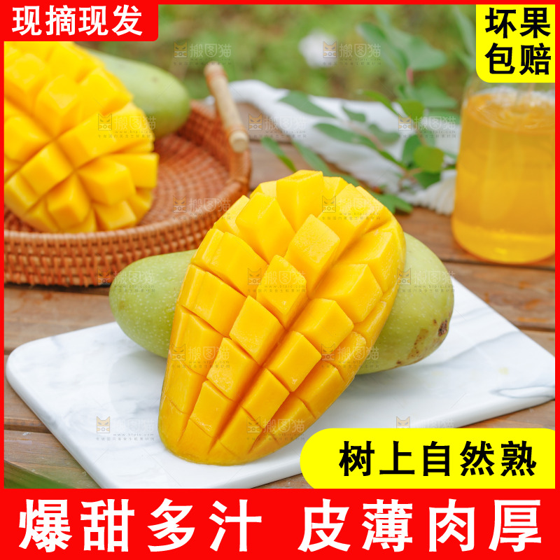 大理石板放着海南金煌芒