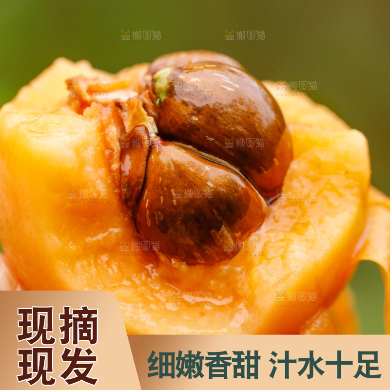 手里拿着枇杷