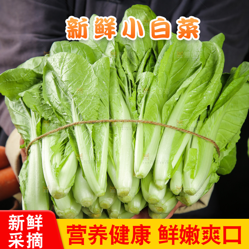 手里捧着四季小白菜