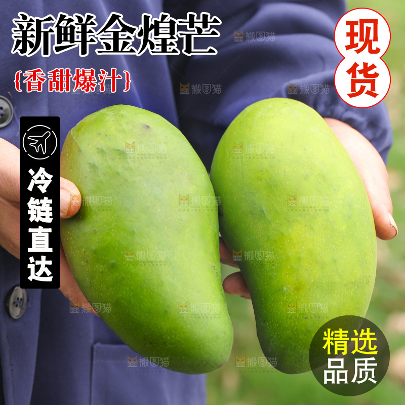 手里拿着青金煌芒