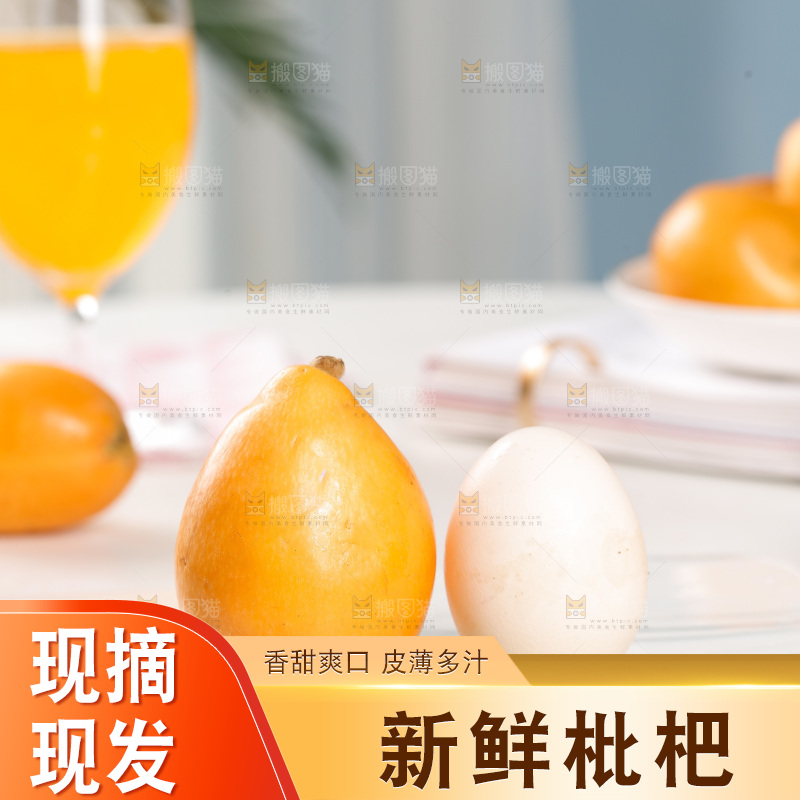 枇杷和鹅蛋对比