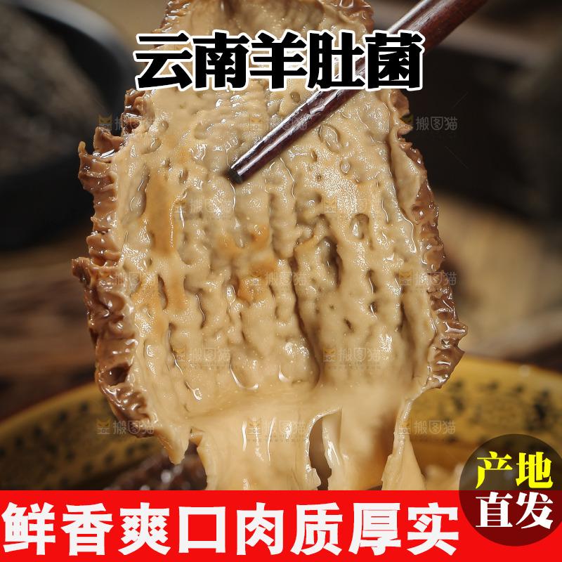 筷子上夹着羊肚菇