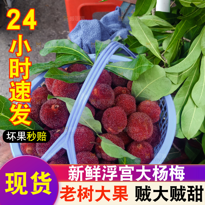 一篮大杨梅