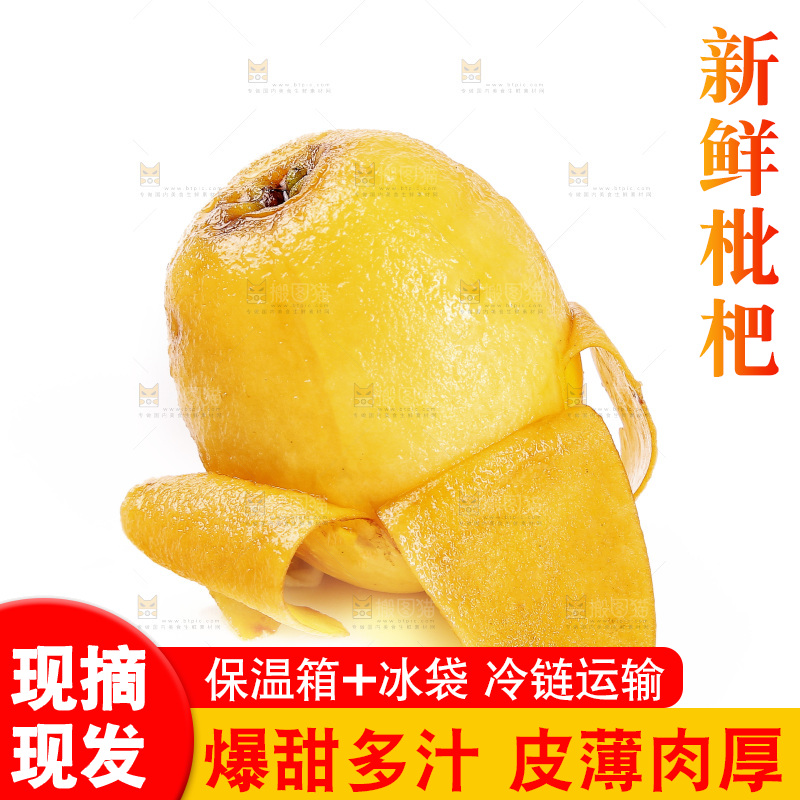 白底上的米易枇杷