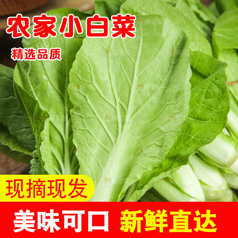 木底上放着一捆新鲜小白菜