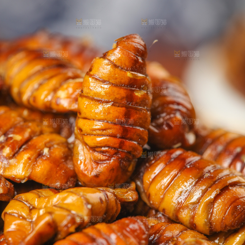 金丝蚕蛹纹理