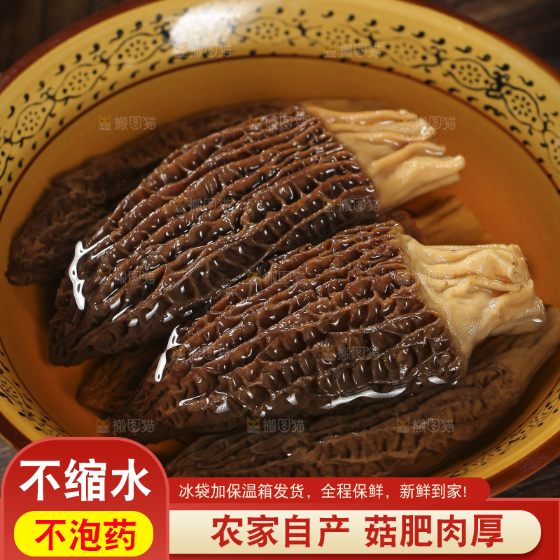 碗里泡着羊肚菌