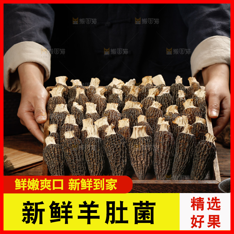 手里端着一盘带柄羊肚菌