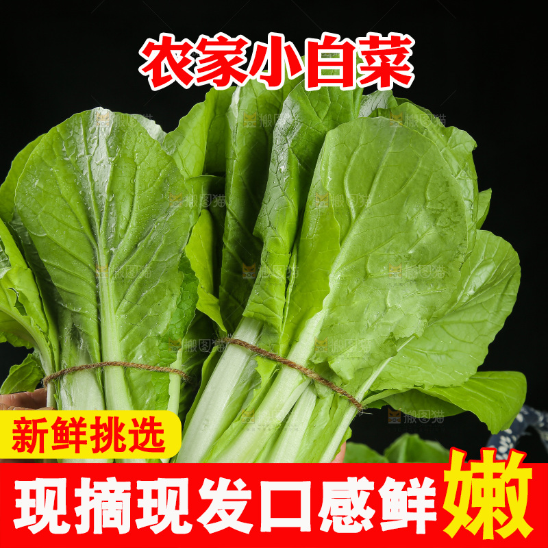 手里拿着小白菜