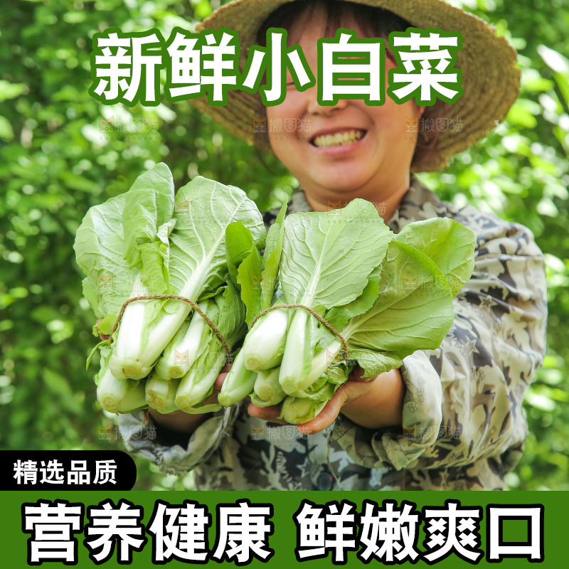 手里拿着小白菜