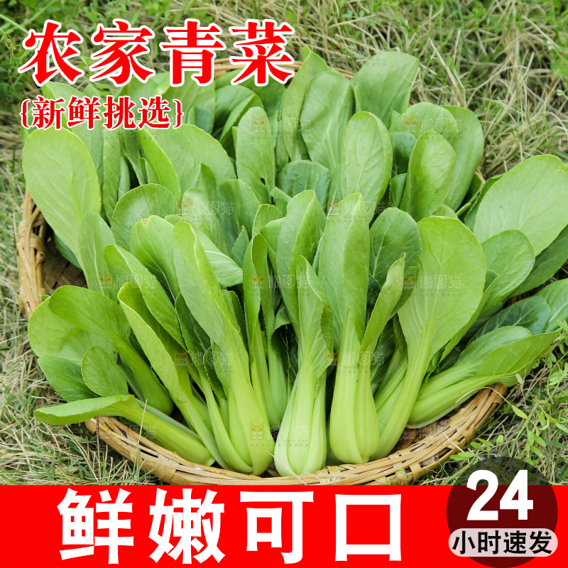 一篮新鲜小青菜