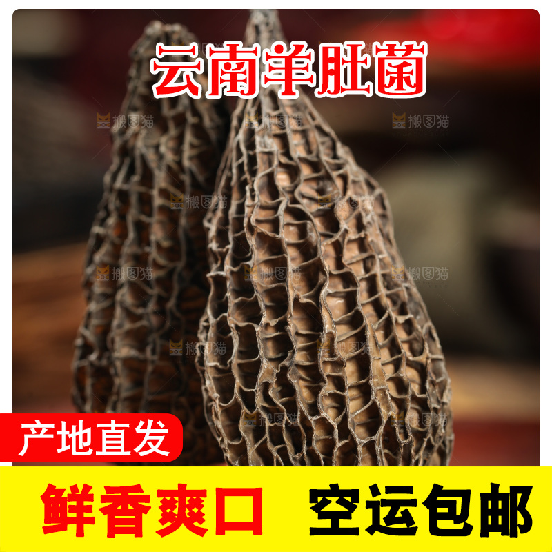 木底上放着羊肚菌