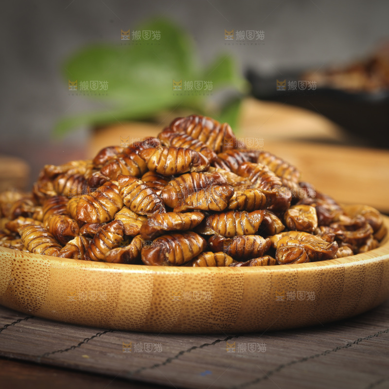 一盘金丝蚕蛹