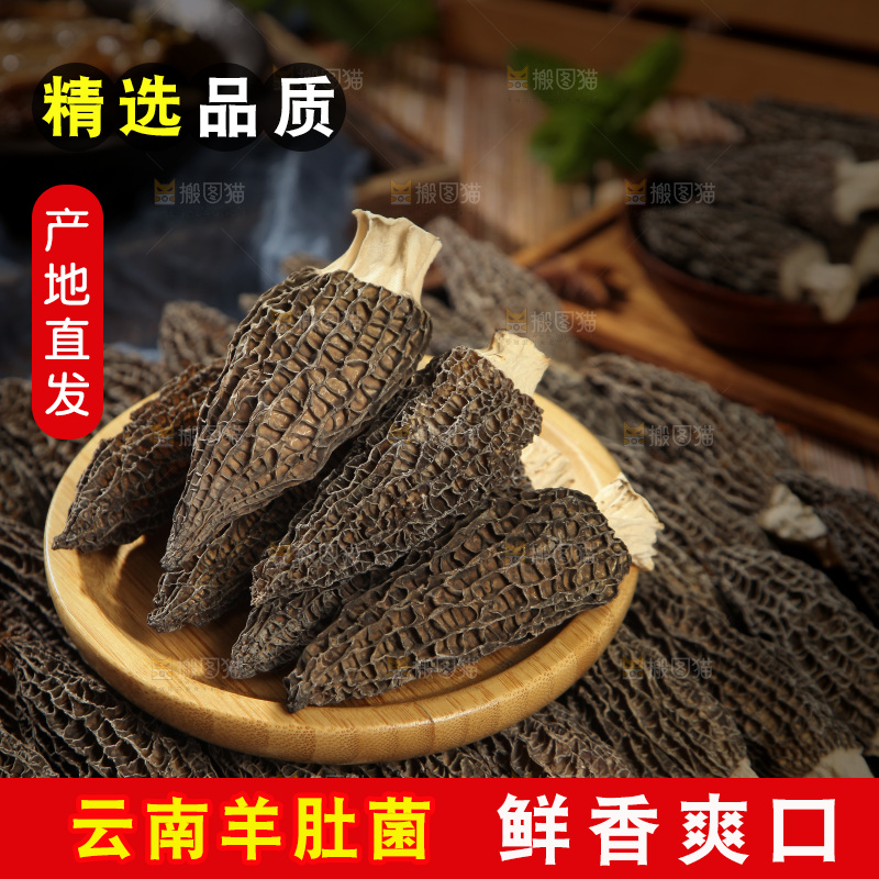 一盘羊肚菌