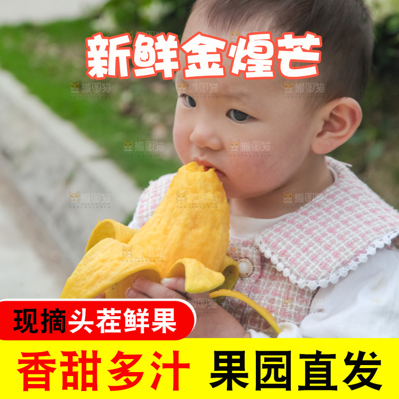 儿童吃着芒果