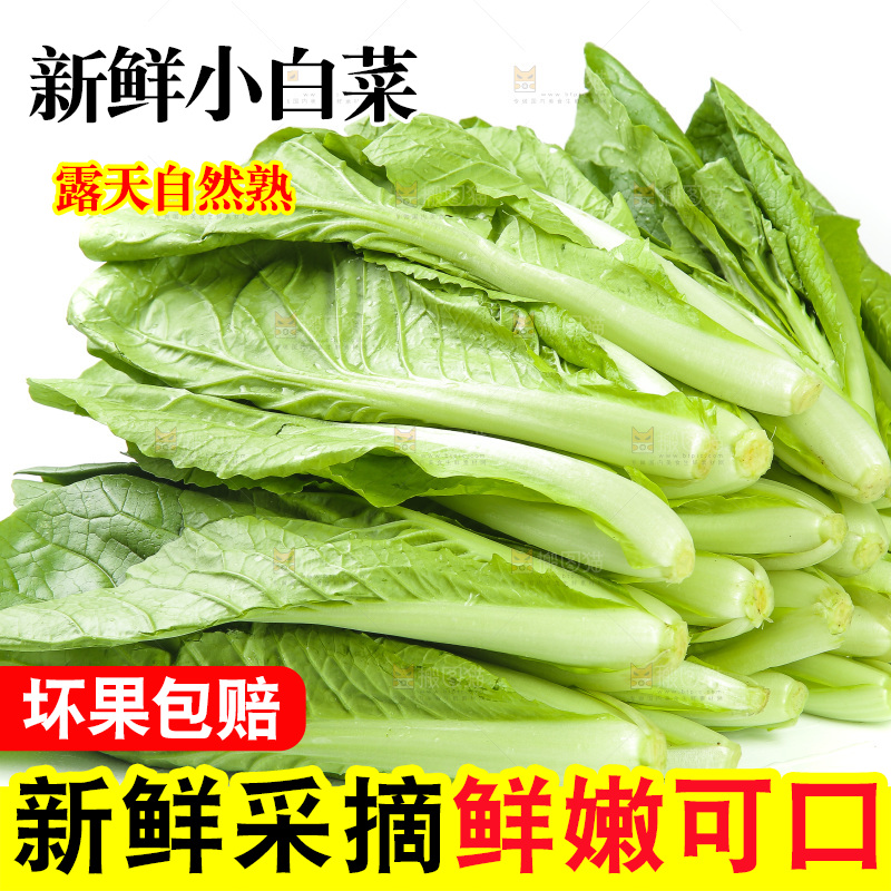 一堆新鲜青菜