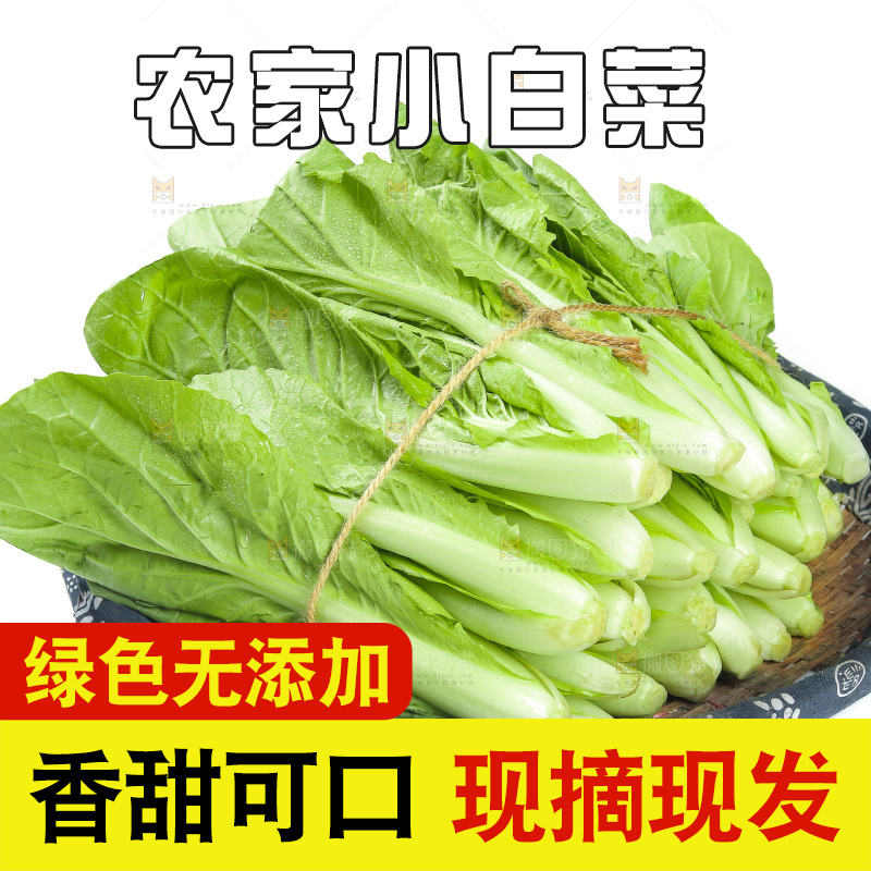 一篮小白菜