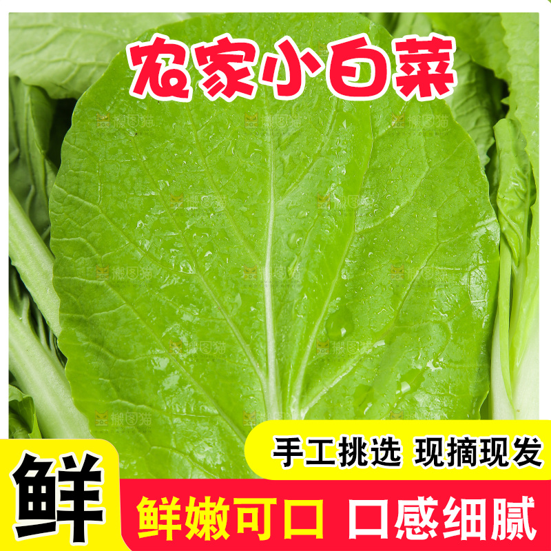 一篮小白菜