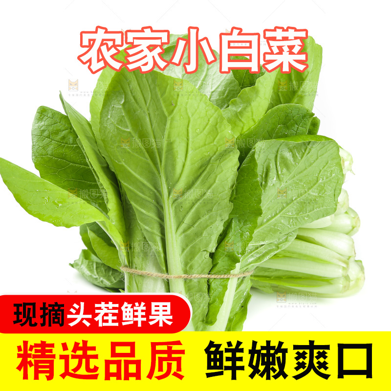白底上的小白菜