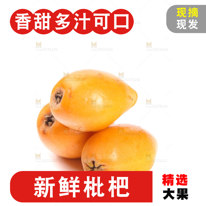 白底上的米易枇杷