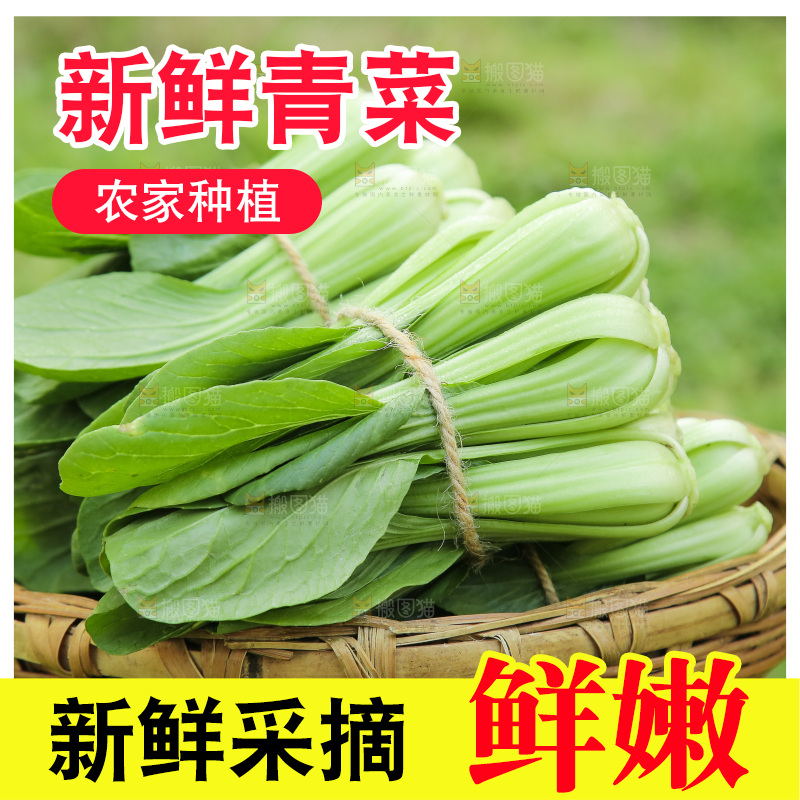 一篮农家小青菜