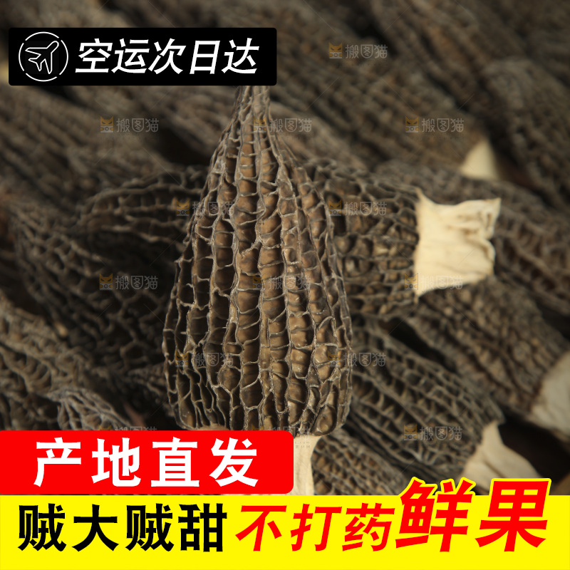 羊肚菌纹理