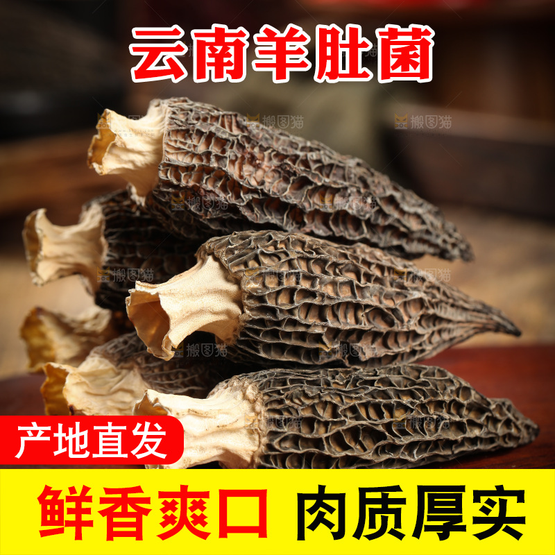 木底上摆放着羊肚菇