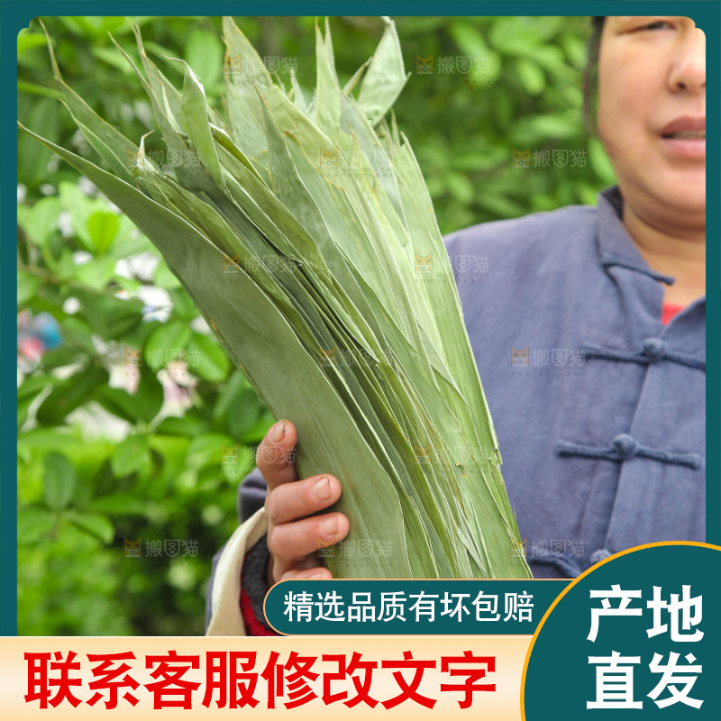 手里拿着粽叶