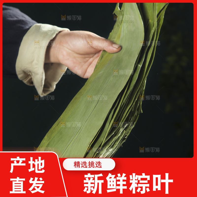 手里拿着粽叶子