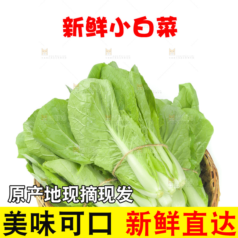 一篮奶油小白菜