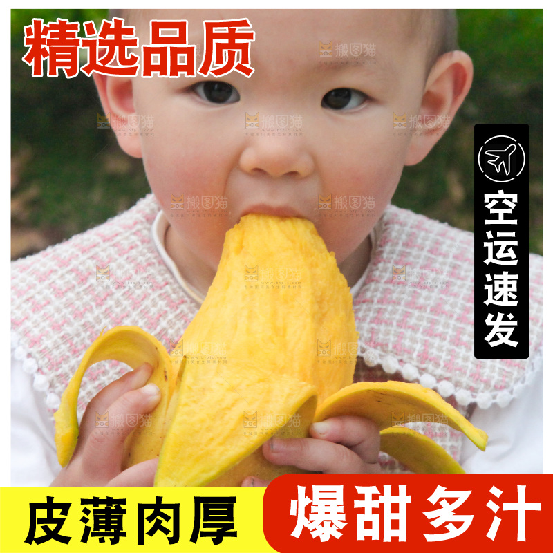 儿童吃着芒果