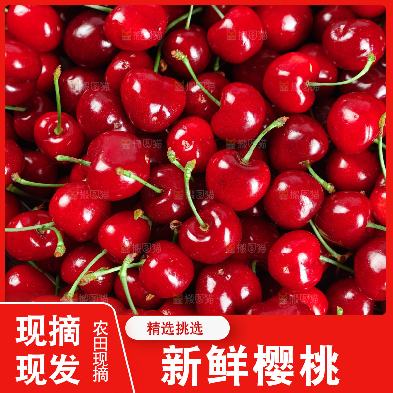大樱桃纹理