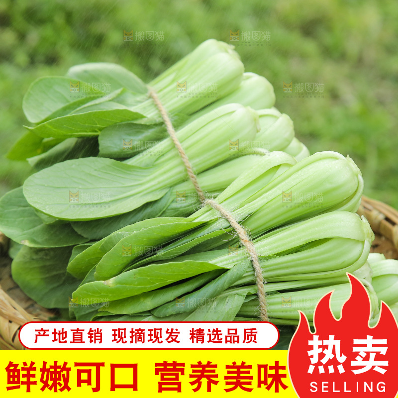一篮农家小青菜