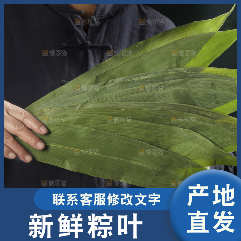 手里拿着粽叶子
