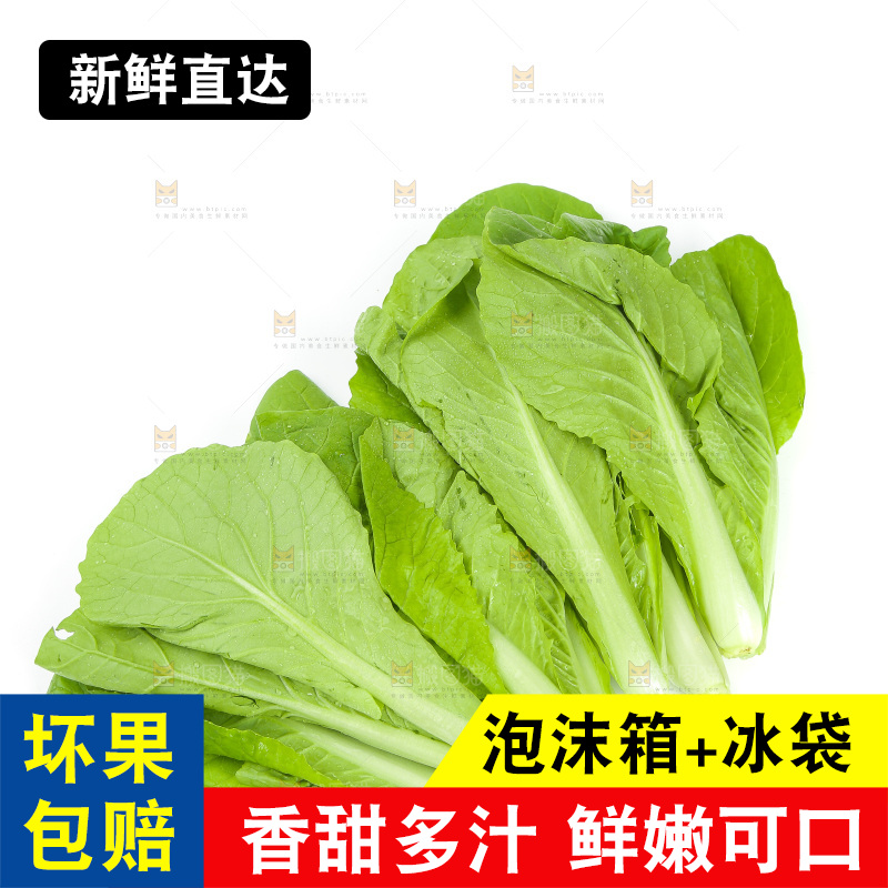 白底上放着小白菜