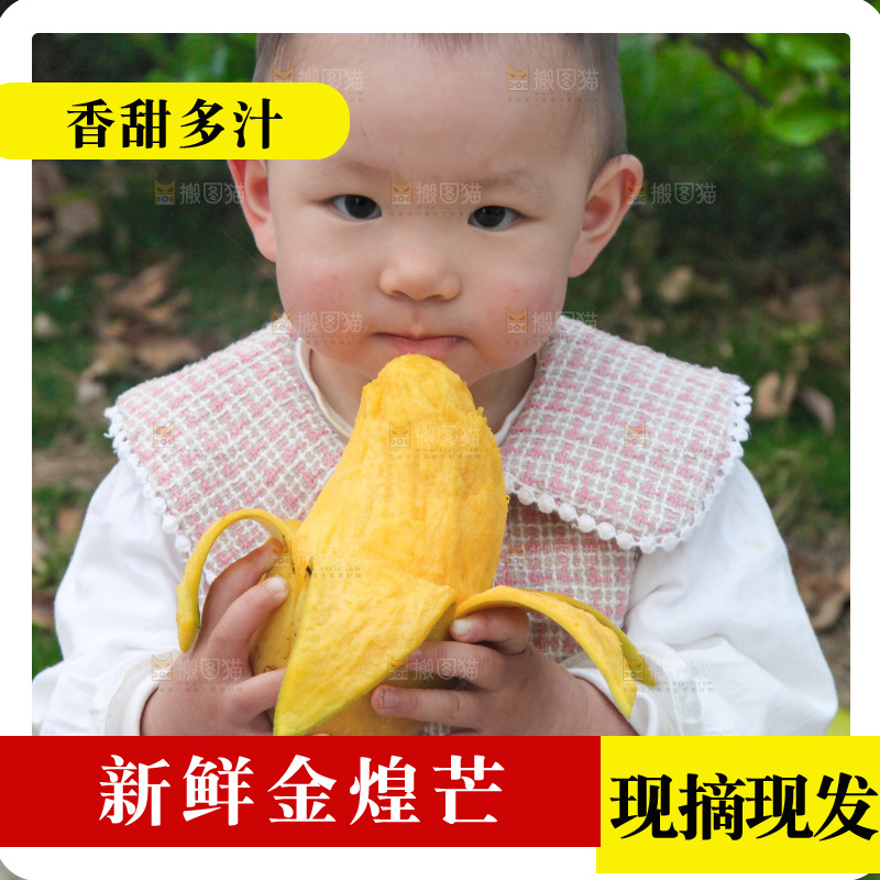 儿童吃着芒果