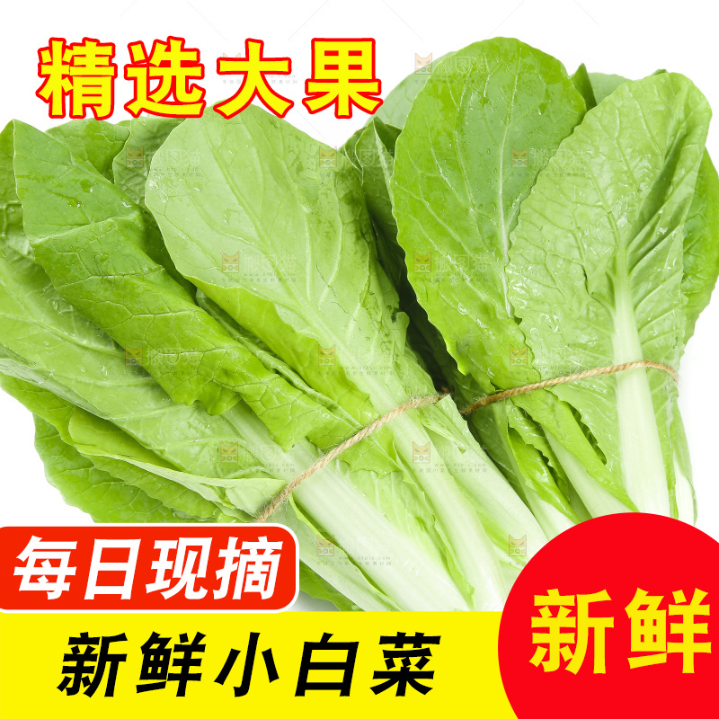 白底上放着一堆小白菜