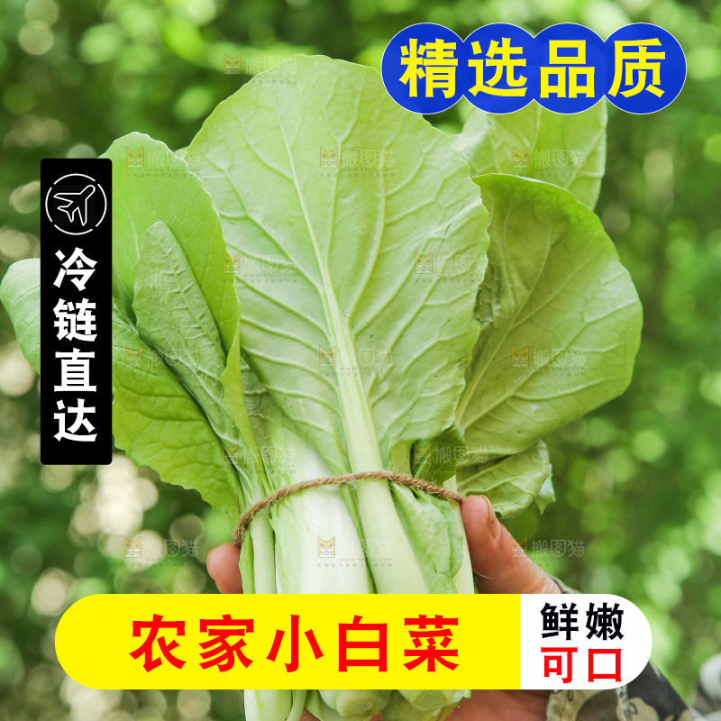 手里拿着小白菜