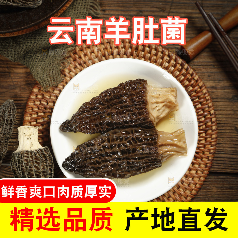 泡发过的羊肚菌