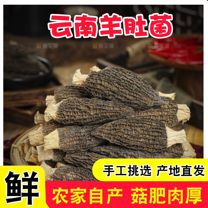一篮云南羊肚菌