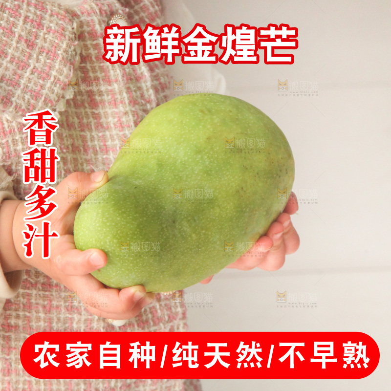 手里拿着大金煌芒