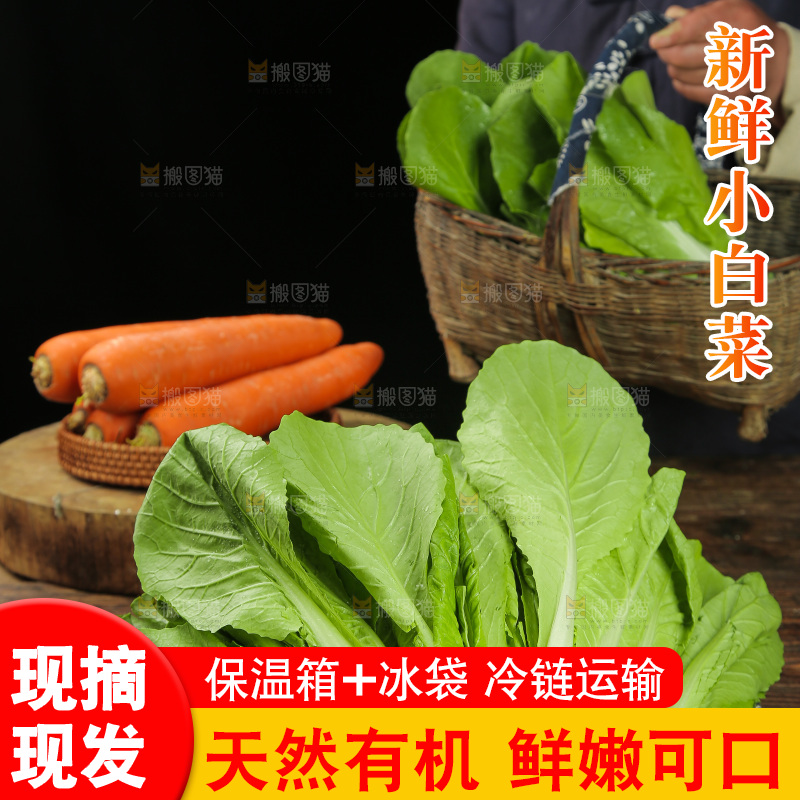 木底上放着一篮小白菜