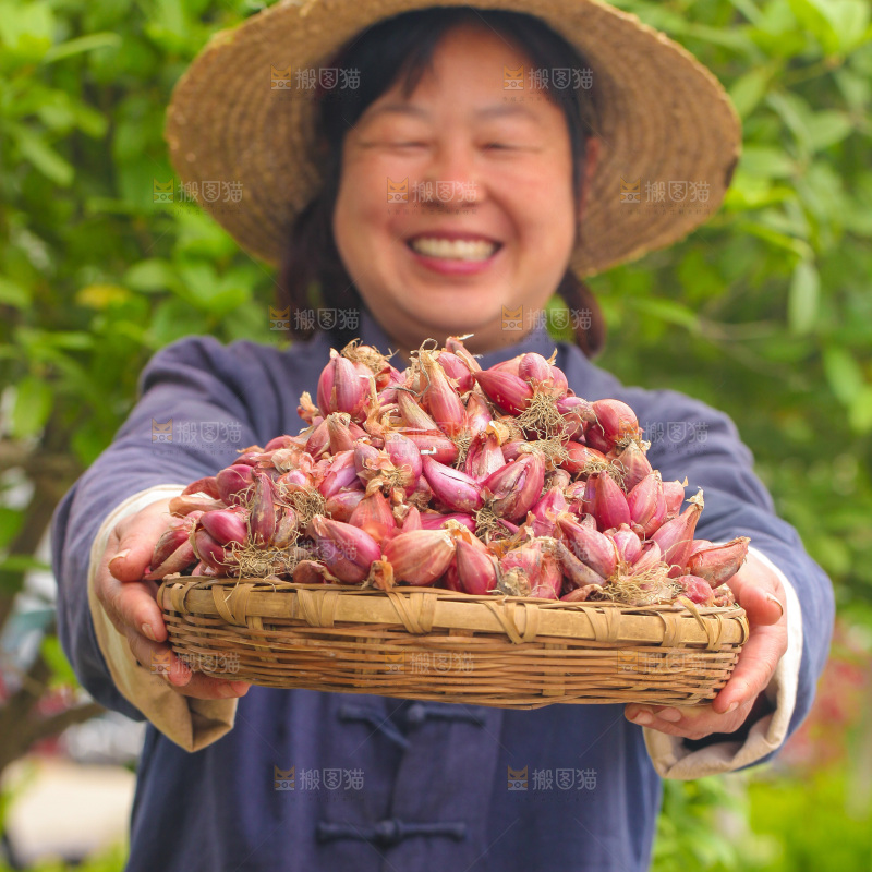 手里端着一篮香葱头