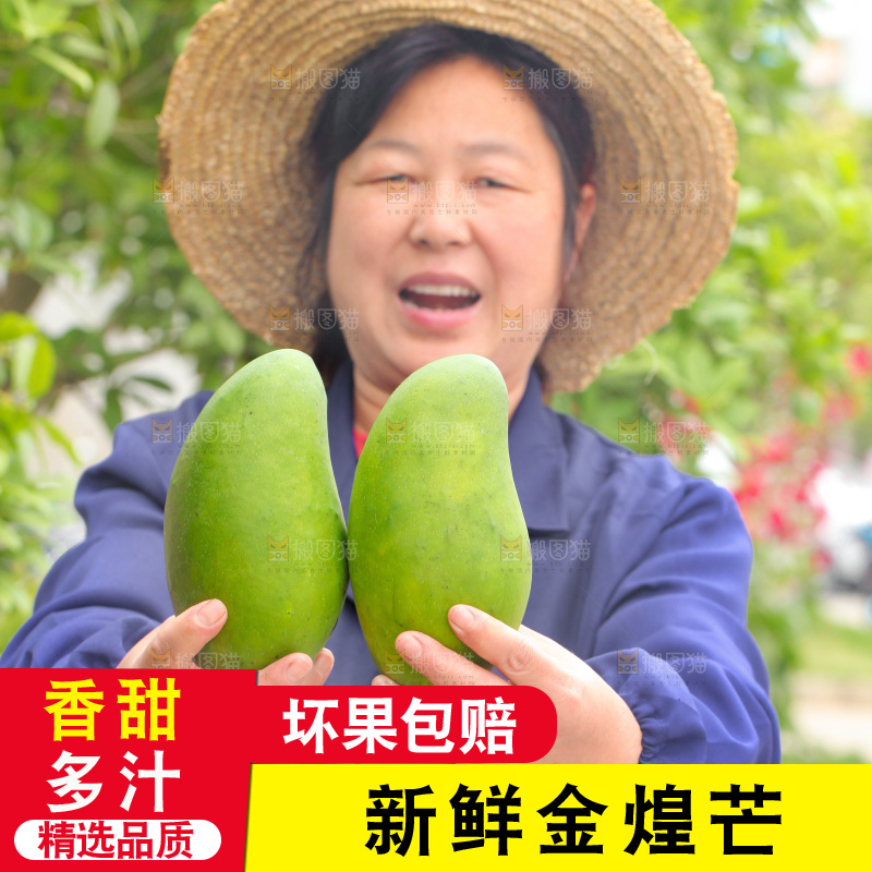 手里拿着金煌芒