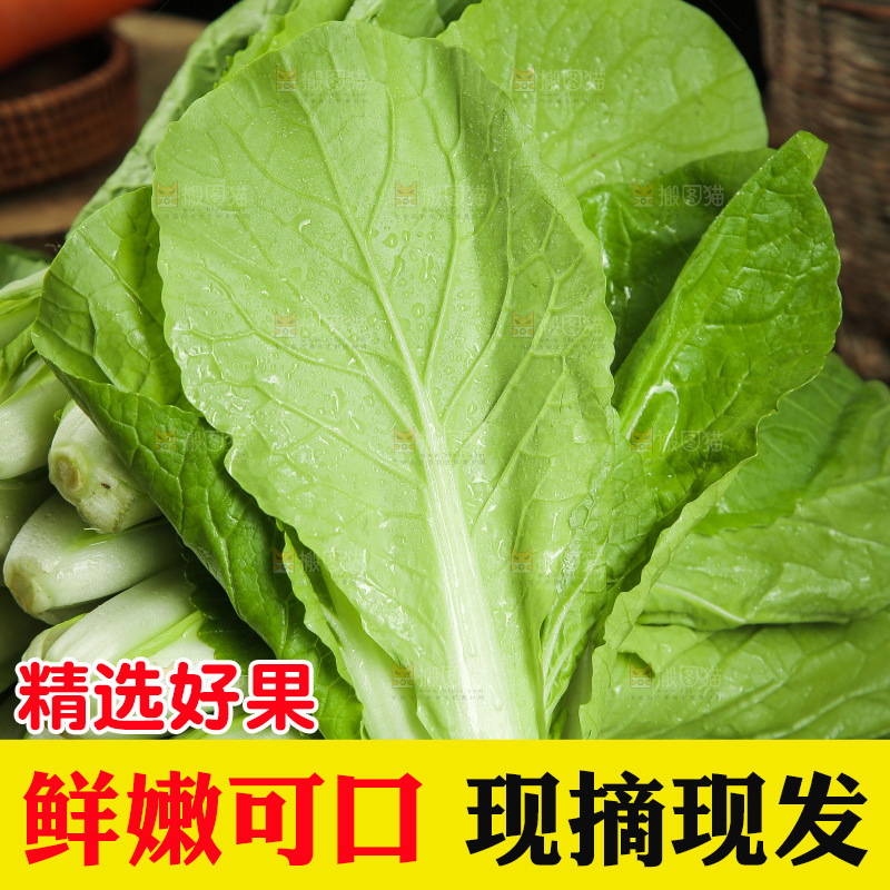 木板上放着小白菜